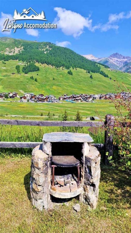 Chalet Rododendro Forest By Livigno Accomodation Bagian luar foto